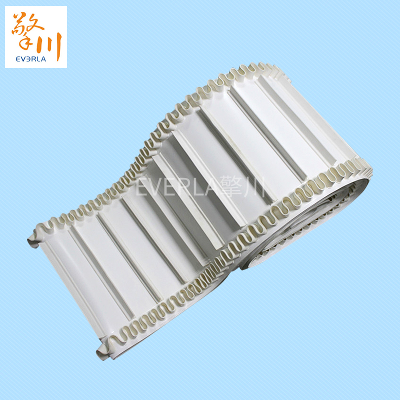 裙邊加擋板PU<a href='http://www.www.szfulaite.com/shusongdai/' target='_blank'><u>輸送帶</u></a>主圖