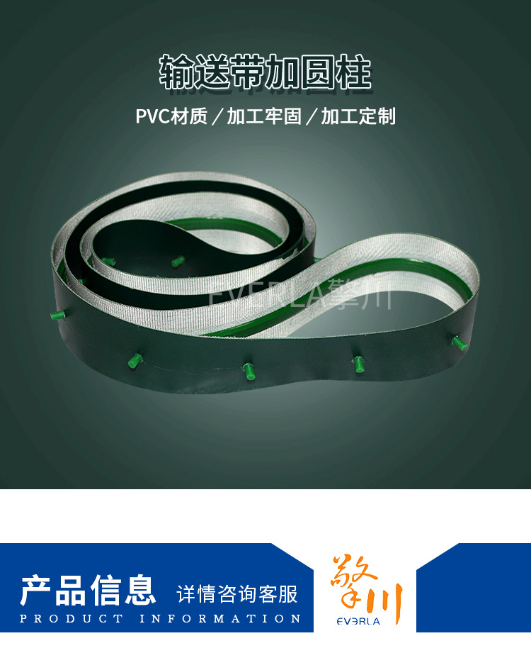 輸送帶加圓形擋條輸送帶加導(dǎo)條細節(jié)圖