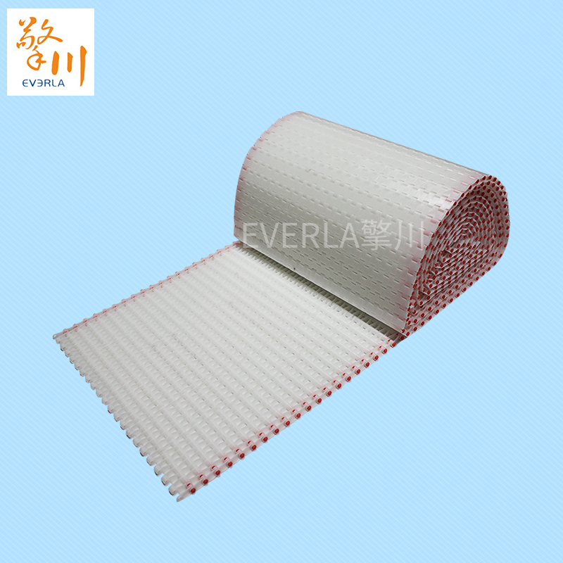 鏈板<a href='http://www.www.szfulaite.com/shusongdai/' target='_blank'><u>輸送帶</u></a>定制
