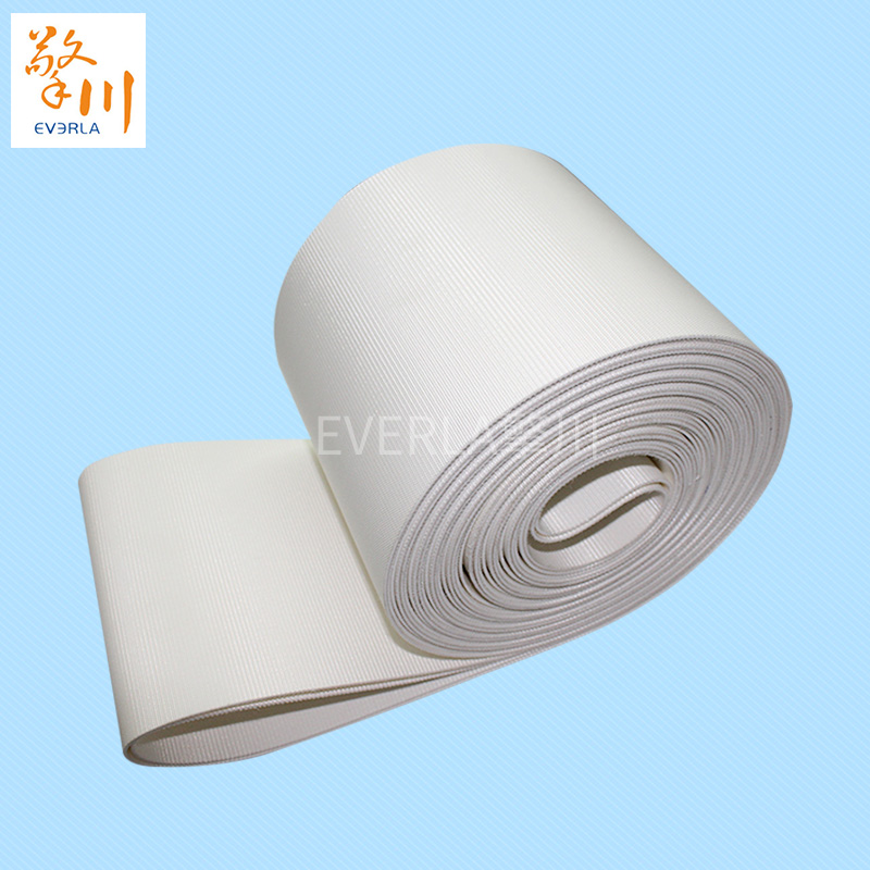 優(yōu)質(zhì)的食品pvc<a href='http://www.www.szfulaite.com/shusongdai/' target='_blank'><u>輸送帶</u></a>主圖